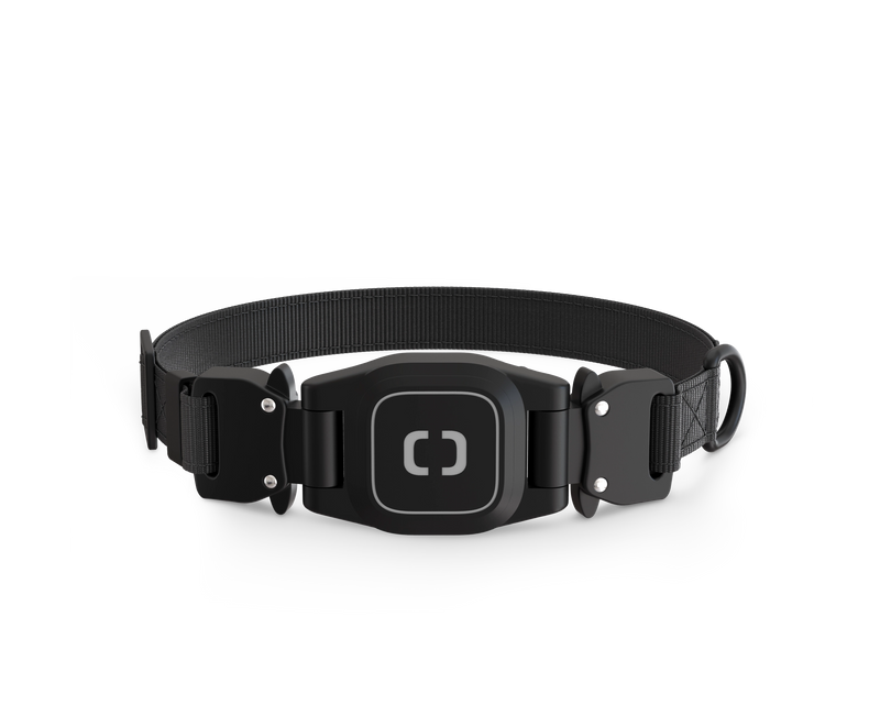 Collar in Noche, 15 mm, front view