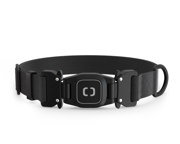 Collar