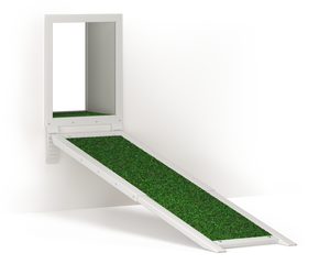 Adjustable Ramp