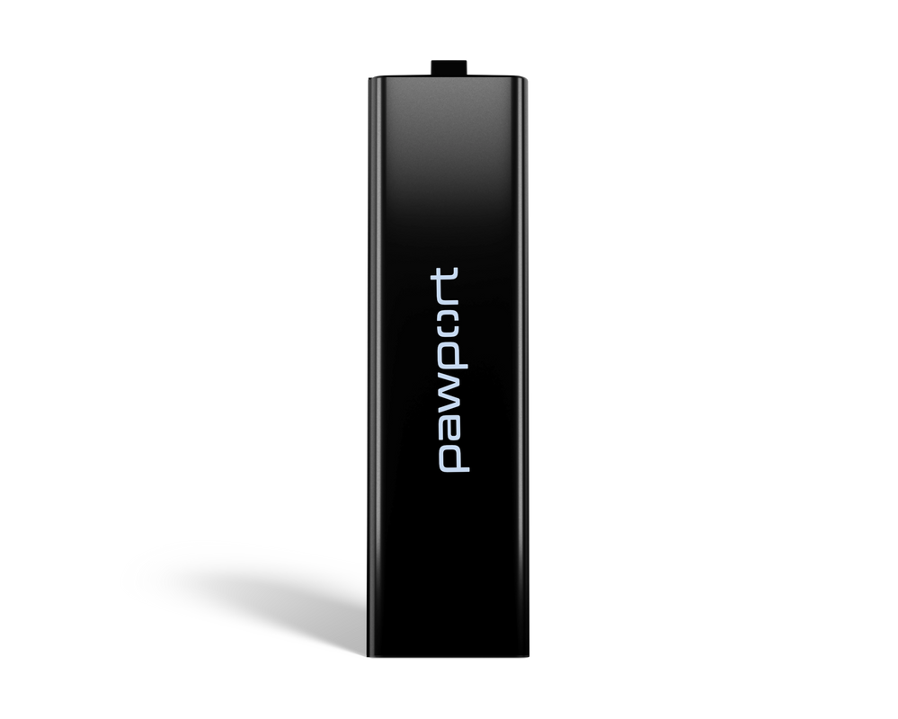 Rechargeable Lithium-Ion Battery