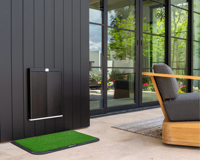 Outdoor Pet Door