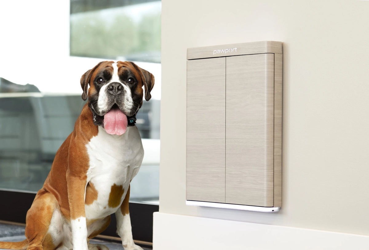 Consumer Tech Startup Pawport Advances Home Security for Pet Owners with New Smart Pet Doors and Accessories at CES 2024