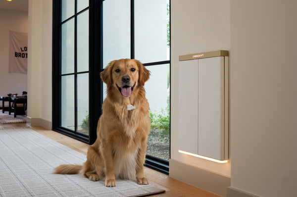 Pawport Smart Pet Door Now Available in 14 Finishes, with an Array of Accessories