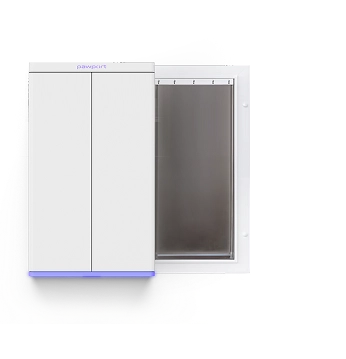 Extra Large Dog Size