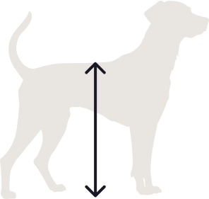 Dog Height Illustration